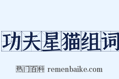 功夫星猫组词是什么意思的图片